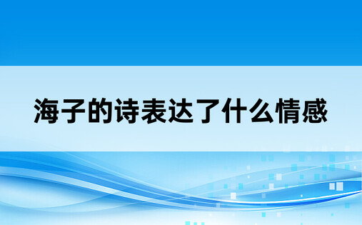 海子的诗表达了什么情感