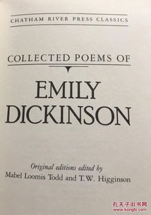 艾米丽迪金森诗歌分析