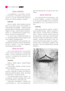 中国诗歌与中国文化其间的关系